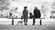 © Christian Mertens